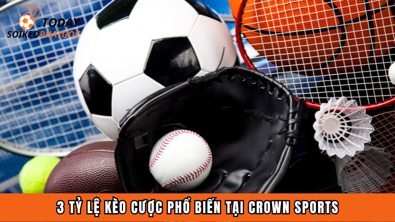 3 tỷ lệ kèo cược phổ biến tại Crown Sports
