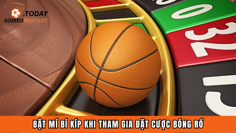 Bật mí bí kíp khi tham gia đặt cược bóng rổ