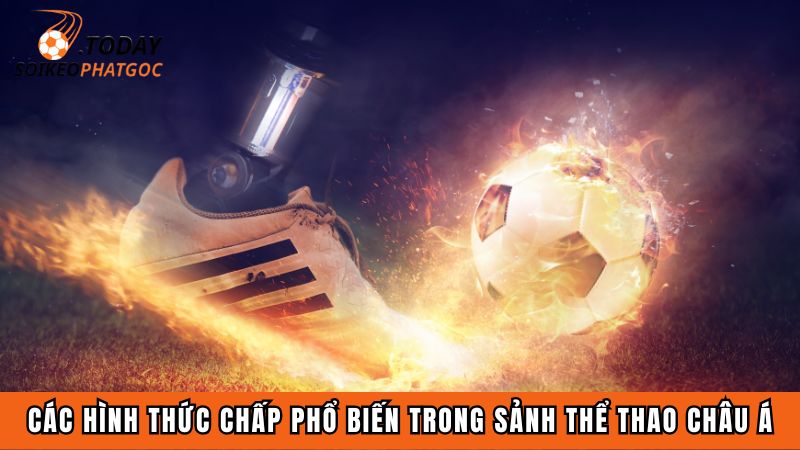 Các hình thức chấp phổ biến trong sảnh thể thao châu Á