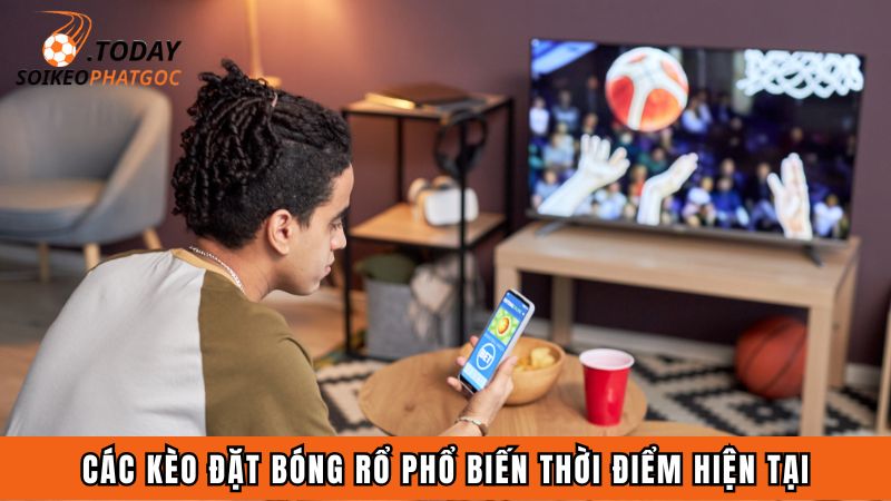 Các kèo đặt bóng rổ phổ biến thời điểm hiện tại