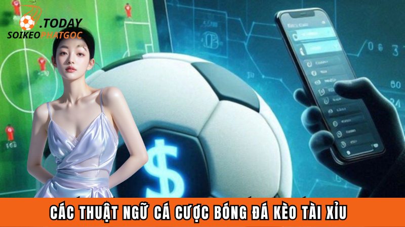 Các thuật ngữ cá cược bóng đá kèo tài xỉu