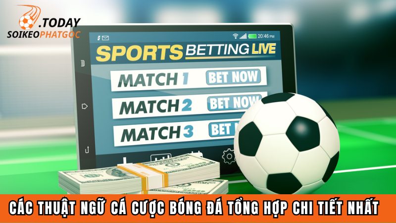 Các thuật ngữ cá cược bóng đá