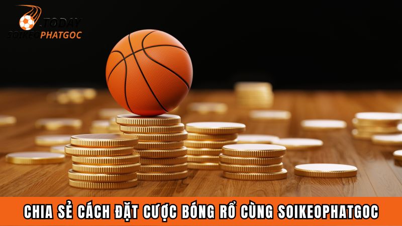 Chia sẻ cách đặt cược bóng rổ cùng Soikeophatgoc