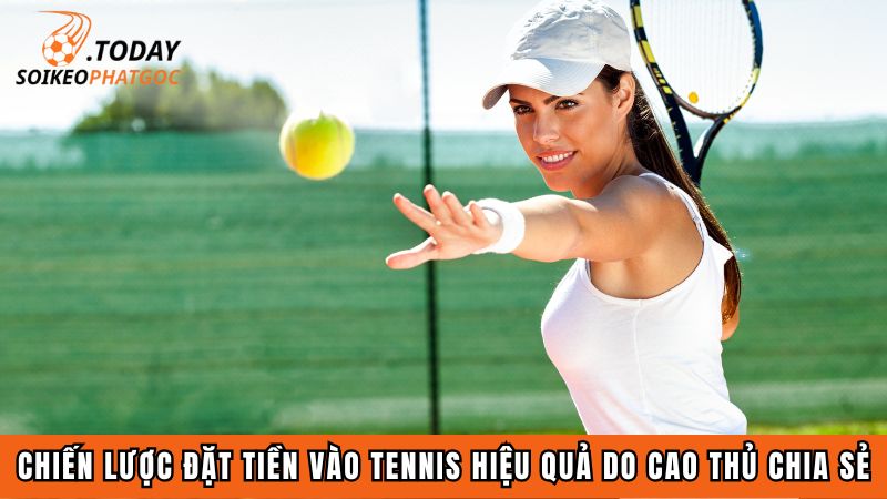 Chiến lược đặt tiền vào tennis hiệu quả do cao thủ chia sẻ