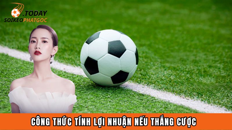 Công thức tính lợi nhuận nếu thắng cược