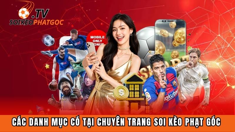 Chuyên trang gồm những danh mục đáng chú ý nào?