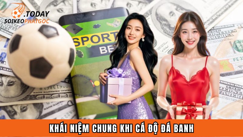 Khái niệm chung khi cá độ đá banh