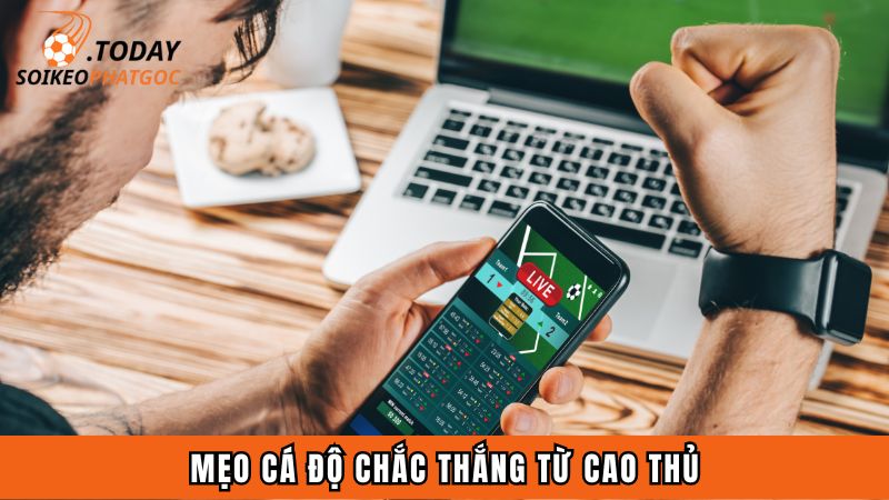 Mẹo cá độ chắc thắng từ cao thủ