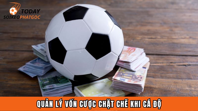 Quản lý vốn cược chặt chẽ khi cá độ