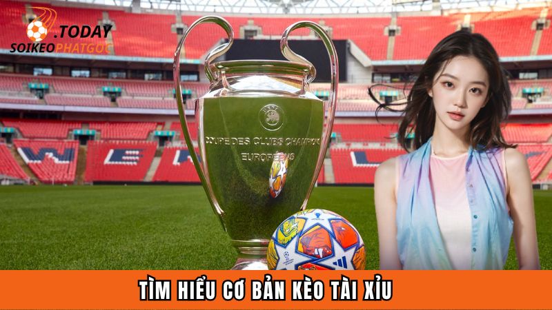 Tìm hiểu cơ bản kèo tài xỉu