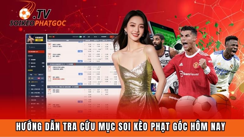 Làm cách nào để tra cứu mục soi tỷ lệ túc cầu hôm nay